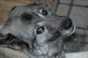 Ilustración 6: Imagen de luz digitalizada.